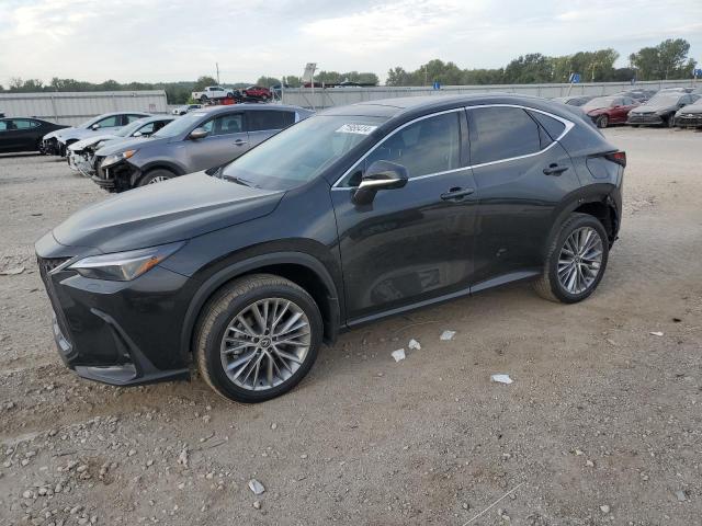 Lexus Nx 350 lux (2024)