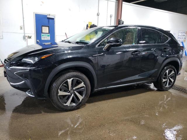 Lexus Nx 300 bas (2021)