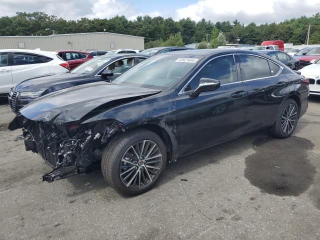 Lexus Es 250 bas (2024)