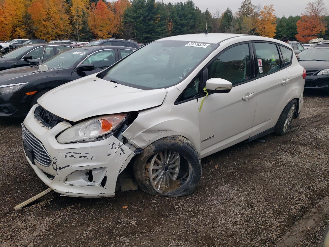 Ford C-max se (2013)