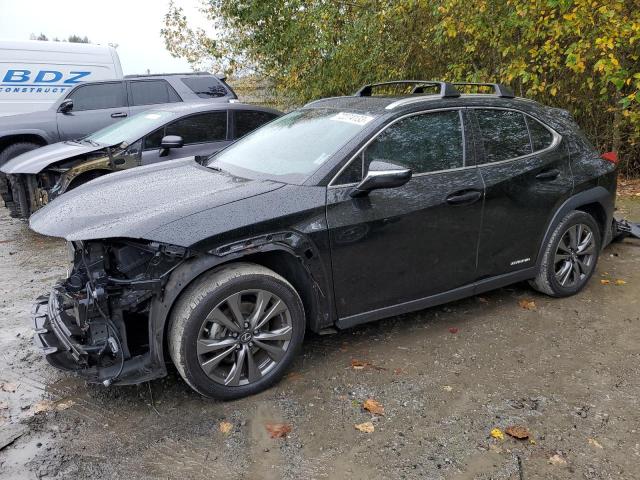 Lexus Ux 250h (2019)
