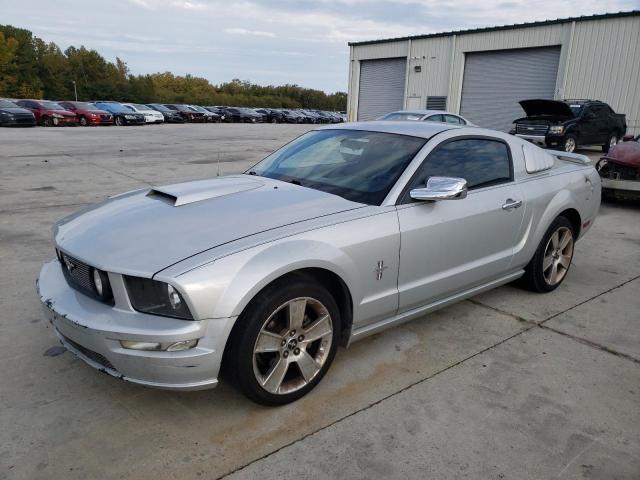Ford All models (2005)