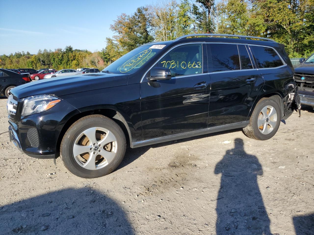 Mercedes-benz Gls-klasse (2017)