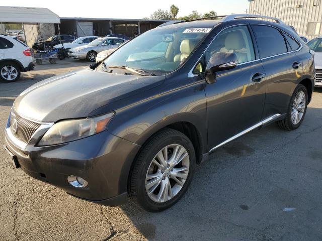 Lexus Rx450 (2010)