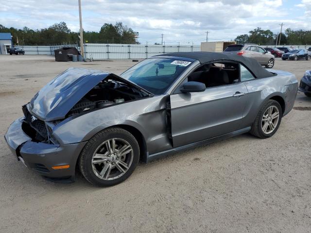 Ford All models (2010)