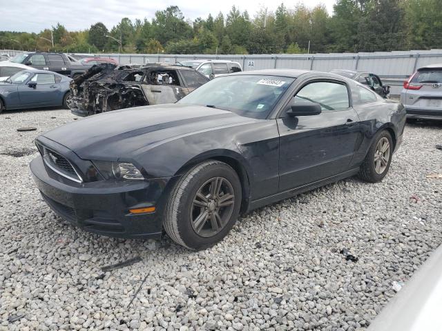 Ford All models (2014)