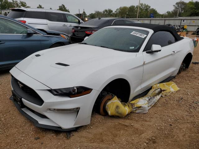 Ford All models (2019)