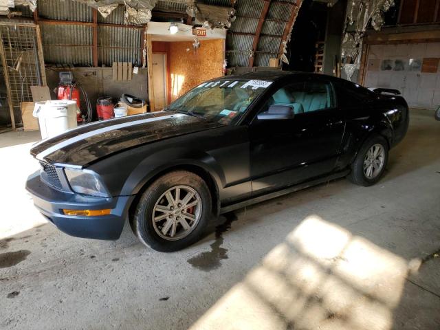 Ford All models (2005)