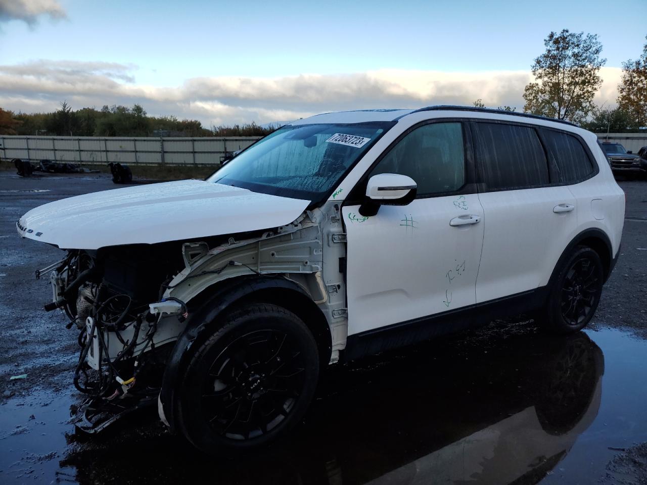 Kia Telluride (2022)