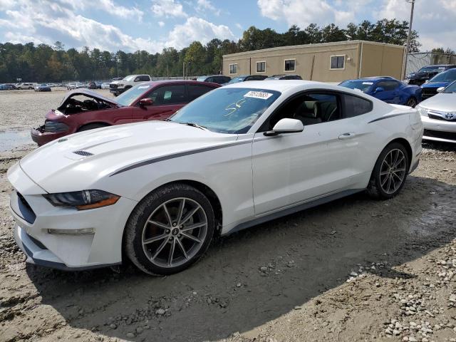 Ford All models (2018)