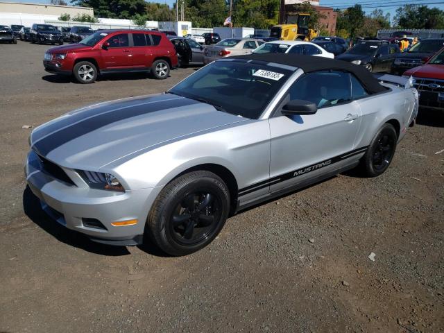 Ford All models (2010)