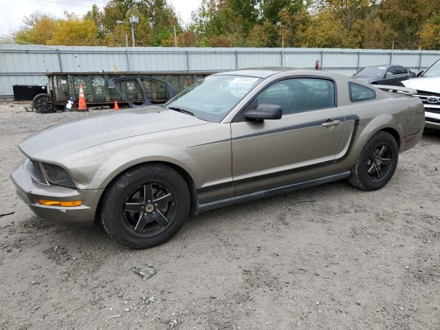 Ford All models (2005)