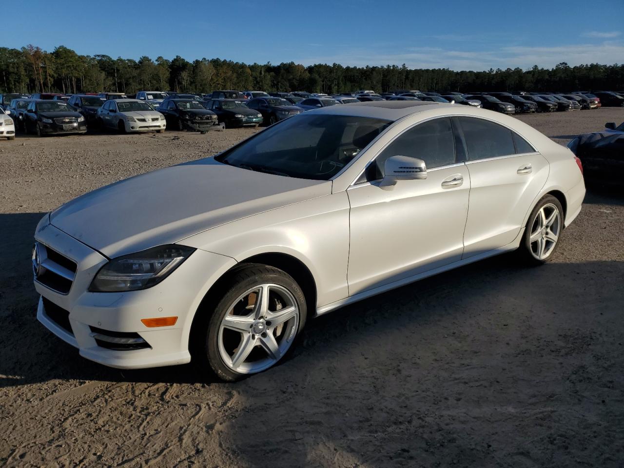 Mercedes-benz Cls 550 4m (2013)