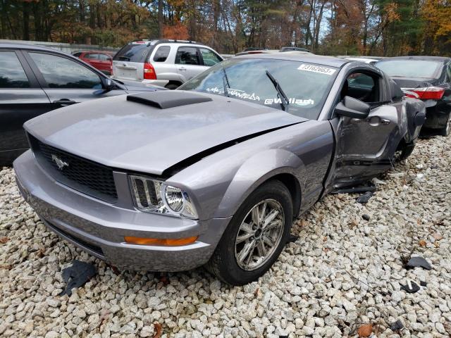 Ford All models (2006)