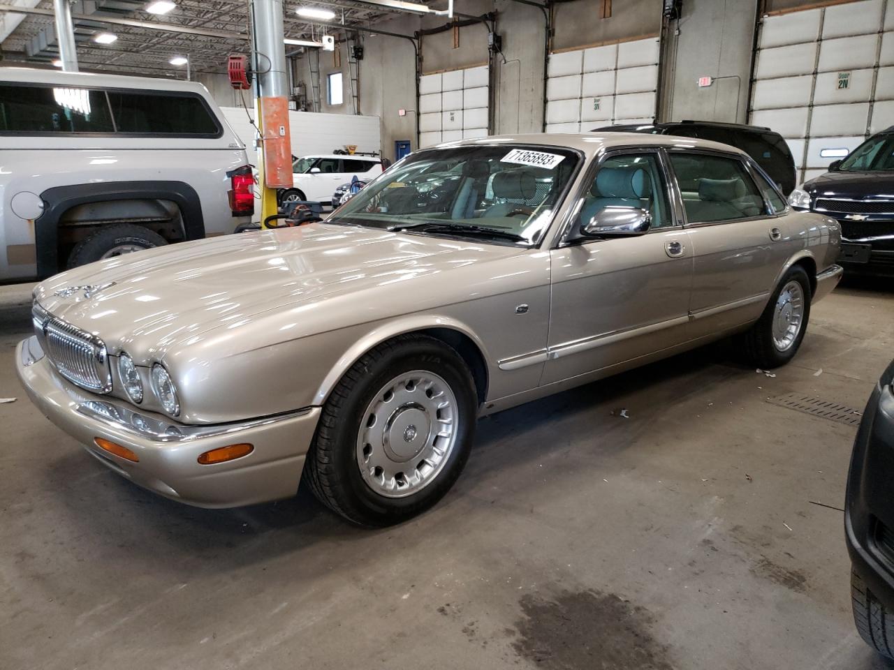 Jaguar Vandenplas (2000)