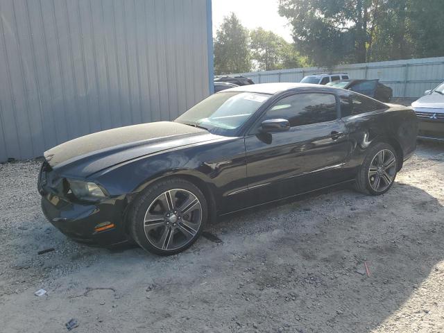 Ford All models (2013)