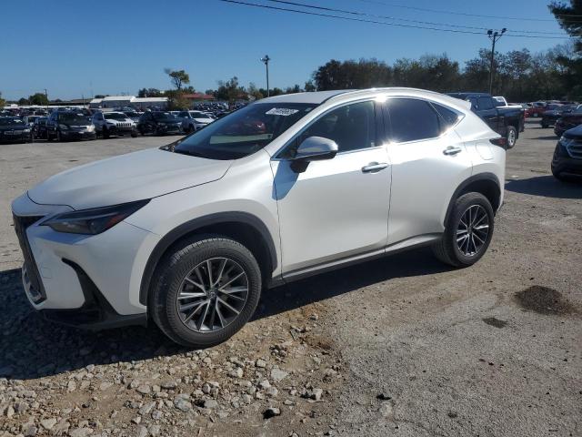 Lexus Nx 250 (2022)
