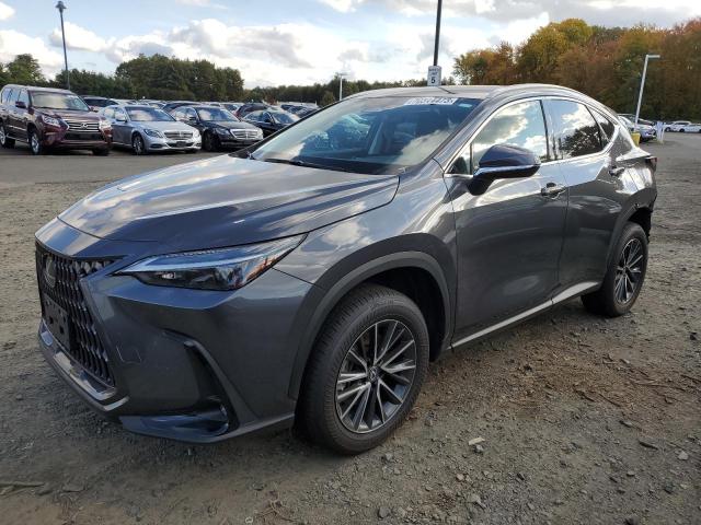 Lexus Nx 350 (2022)