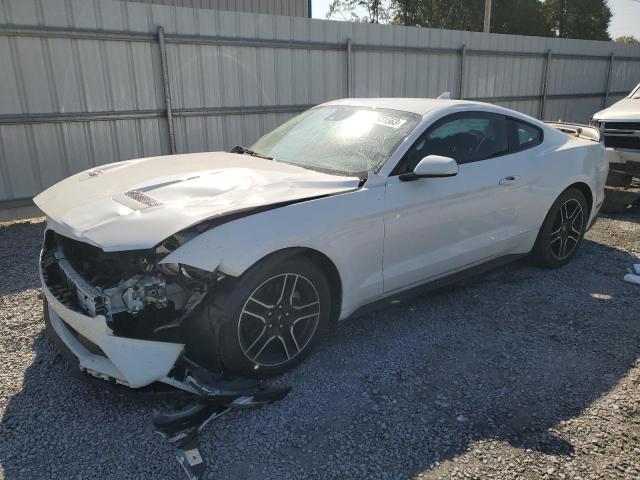 Ford All models (2021)