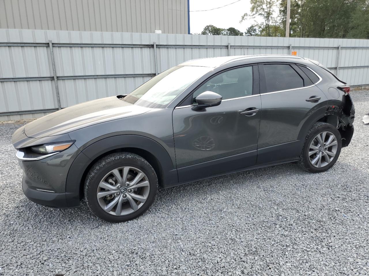 Mazda Cx-30 (2023)