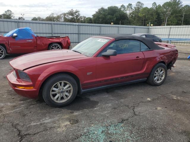 Ford All models (2006)