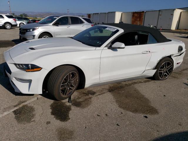 Ford All models (2019)