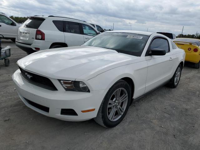 Ford All models (2010)