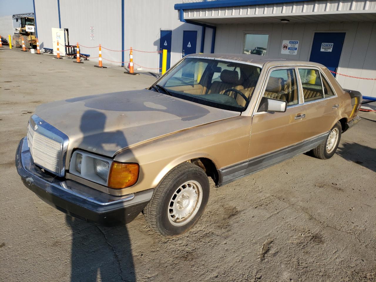 Mercedes-benz S-klasse (1981)