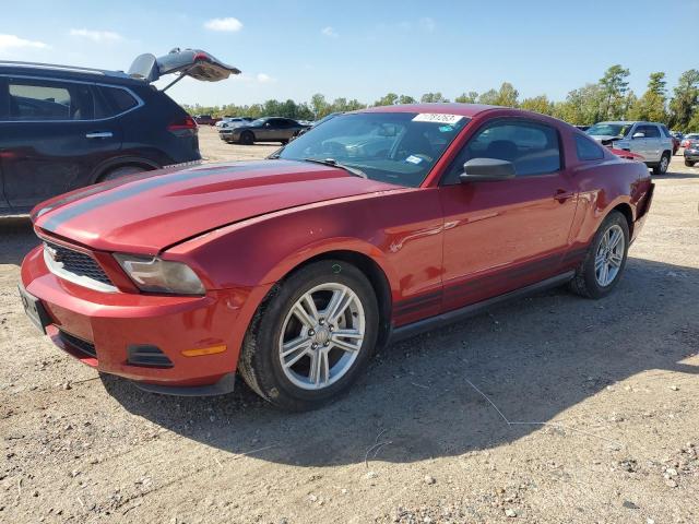 Ford All models (2010)