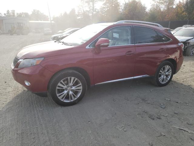 Lexus Rx450 (2010)