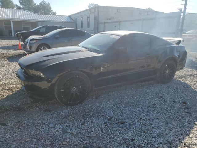 Ford All models (2010)