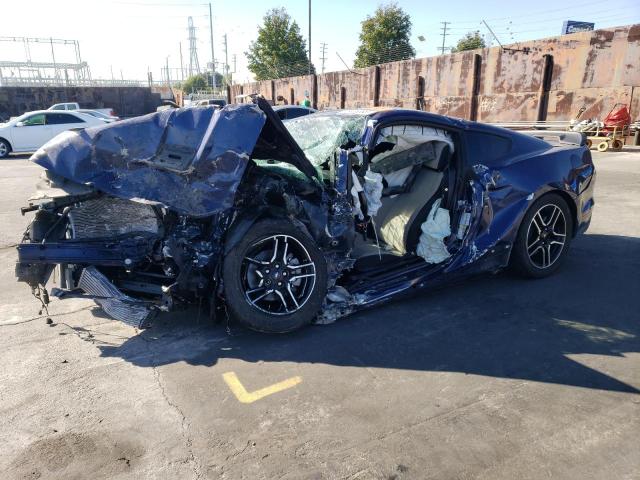 Ford All models (2019)