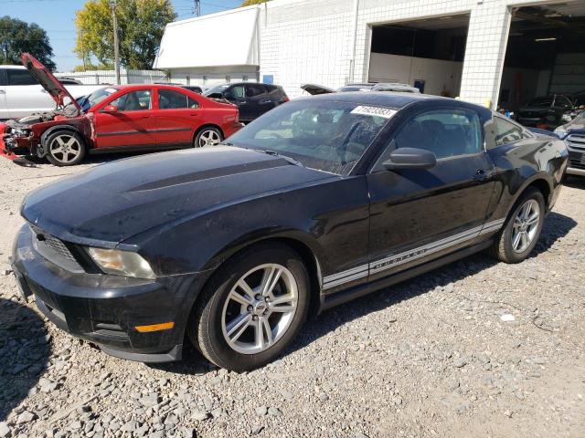 Ford All models (2010)