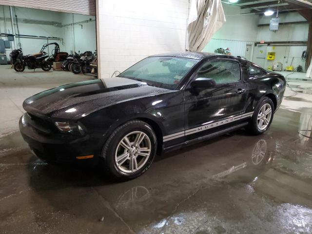 Ford All models (2011)