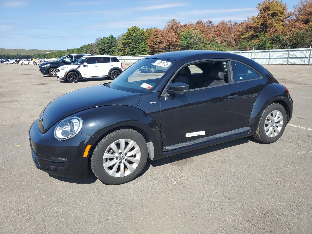 Volkswagen Beetle (2016)