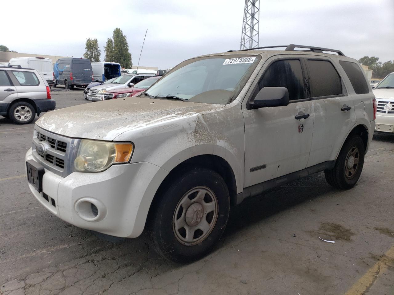 Ford Escape xls (2008)