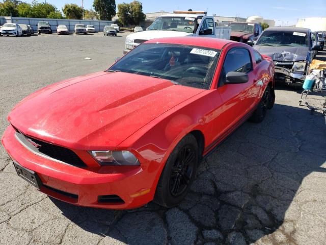 Ford All models (2010)
