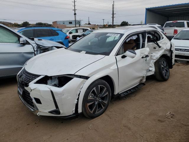 Lexus Ux 250h pr (2024)