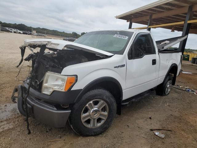 Ford All models (2009)