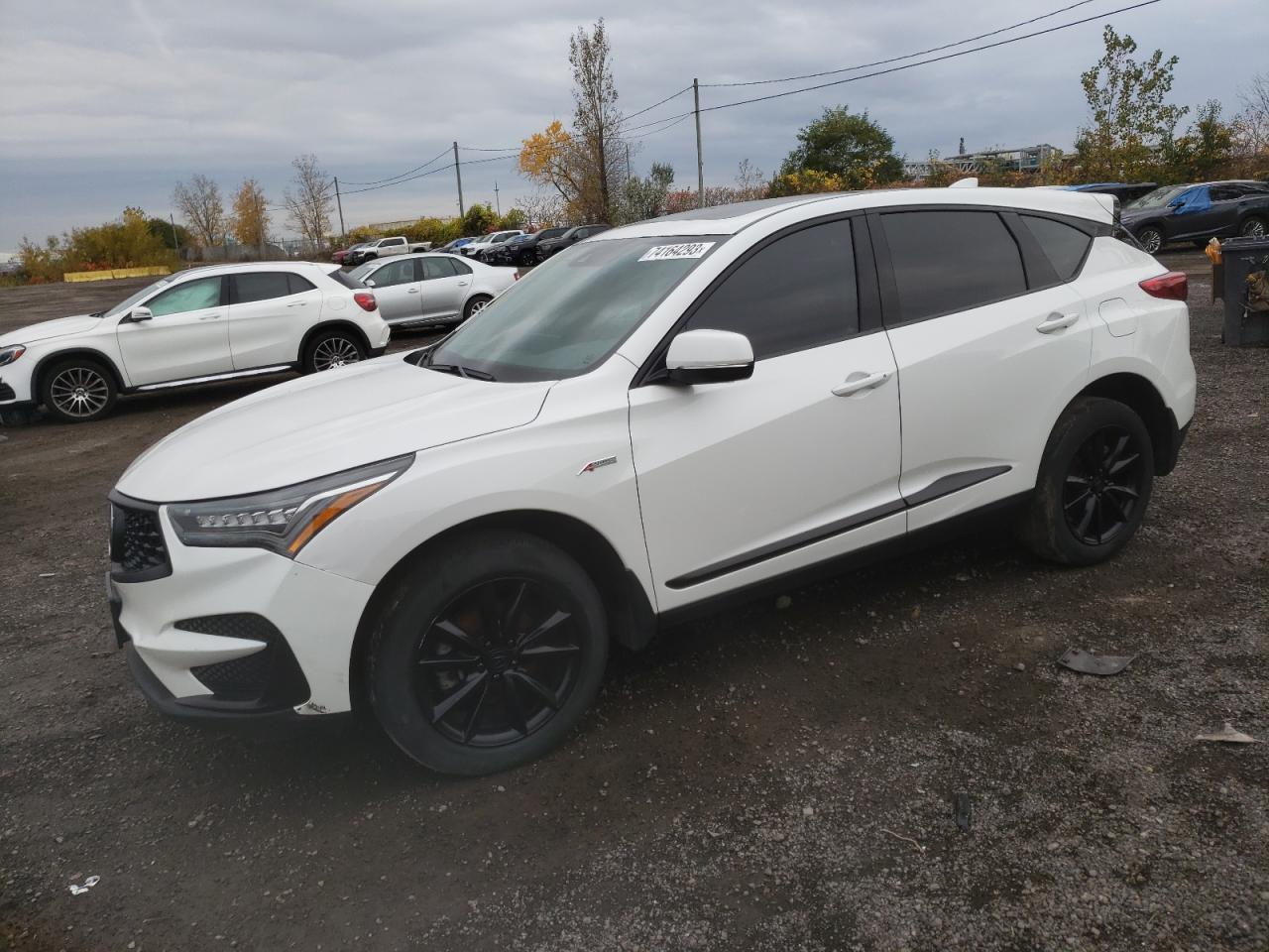 Acura Rdx (2021)