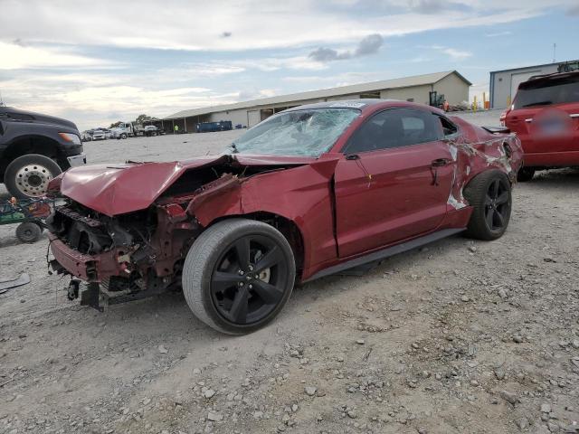 Ford All models (2019)