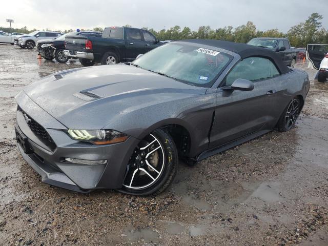 Ford All models (2021)