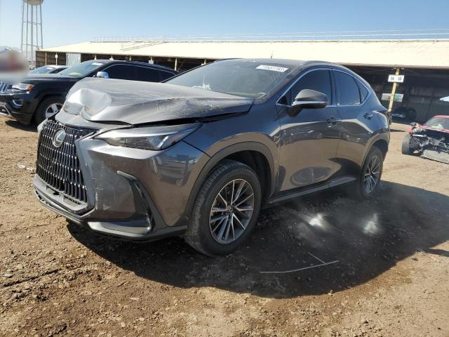 Lexus Nx 250 (2022)