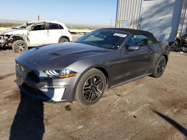Ford All models (2021)
