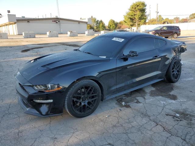 Ford All models (2019)