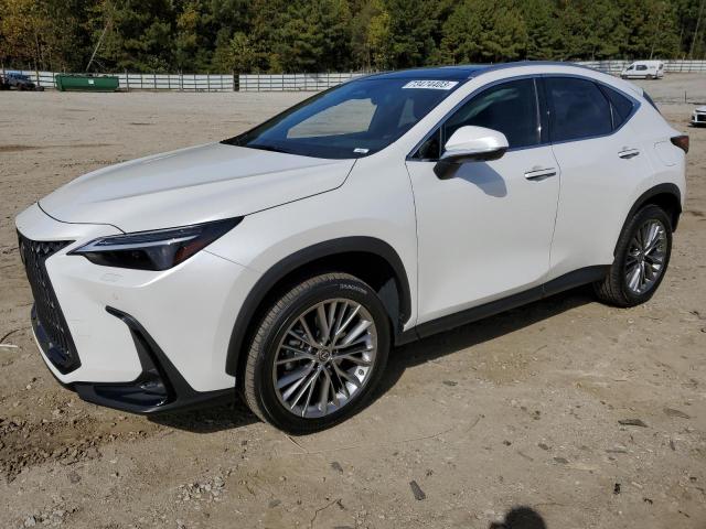 Lexus Nx 350 (2022)