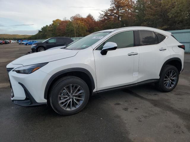 Lexus Nx 350 bas (2024)