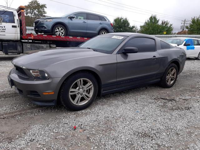 Ford All models (2011)
