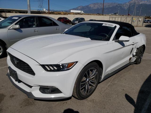 Ford All models (2017)