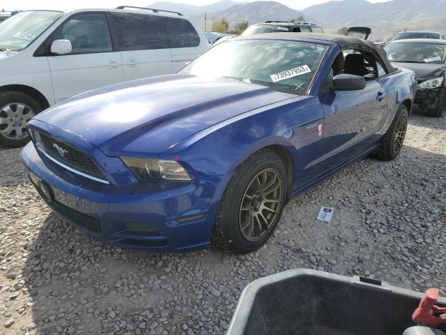 Ford All models (2013)